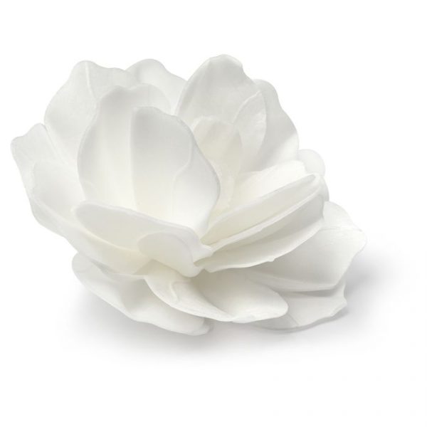 Fiore Gigante Rosa Romantica Bianca